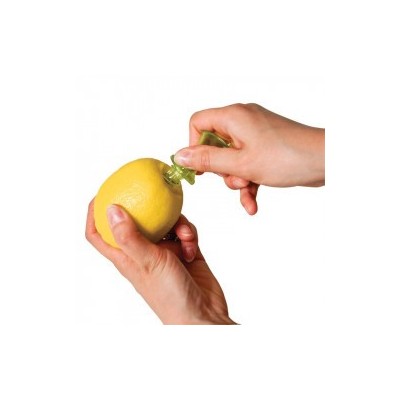 Extracteur de jus d'agrumes