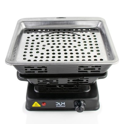 Allume charbon électrique DUM Proheat 2000W