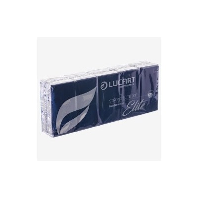 MOUCHOIRS JETABLES 4 PLIS LUCART 10 ETUIS