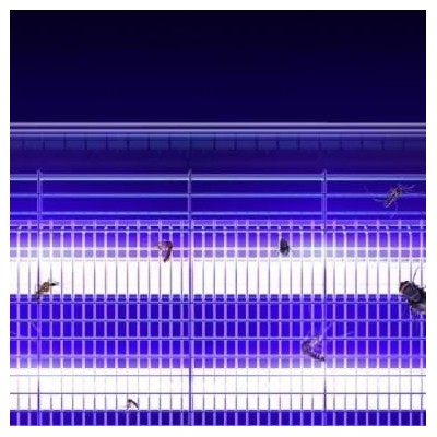 Destructeurs d'insectes Electrique 20W Anti-Moustique 230V 30m2