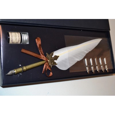 Ensemble de calligraphie à plume et à tremper avec encre et plumes