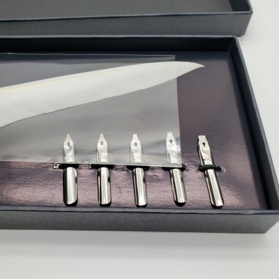 Ensemble de calligraphie à plume et à tremper avec encre et plumes