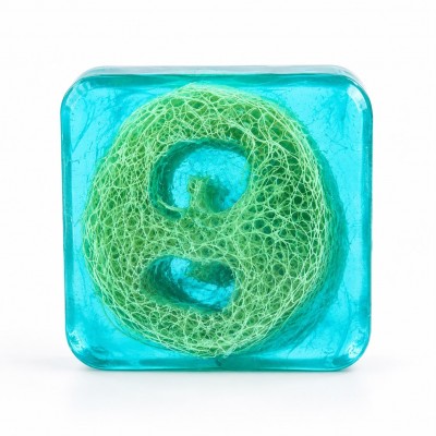 Ocean salt loofah soap