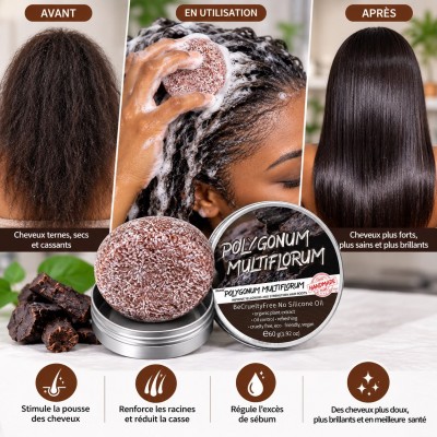 Polygonum Multiflorum Bar Shampoo 60 g – Senegal