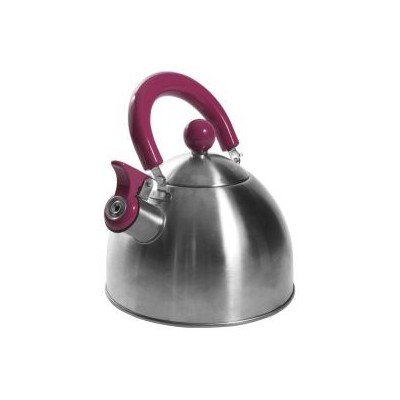 Bouilloire Cook Concept 1,5 L