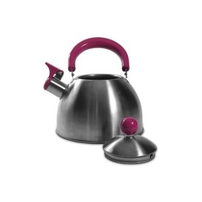 Bouilloire Cook Concept 1,5 L