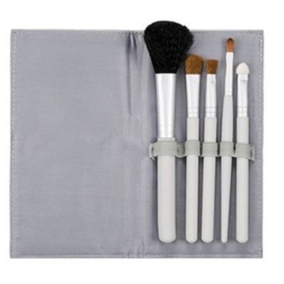 5 pinceaux et leur pochette