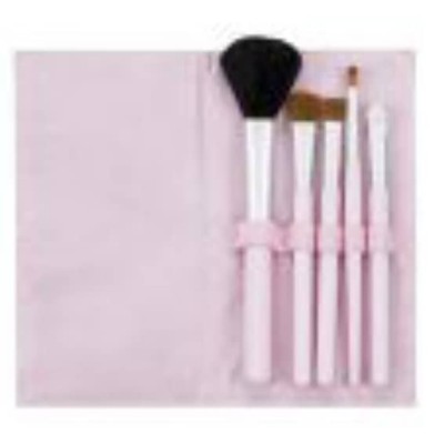 5 pinceaux et leur pochette